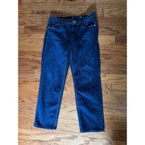 J Jill Denim High Rise Straight Leg Jeans Size 10P